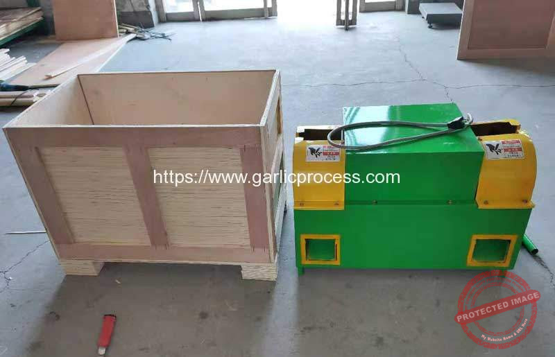 Garlic-Root-and-Leaf-Cutter-Machine-with-Customized-Plug-and-Voltage-for-USA-Customer